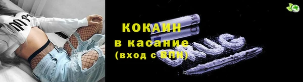 прущие грибы Куйбышев