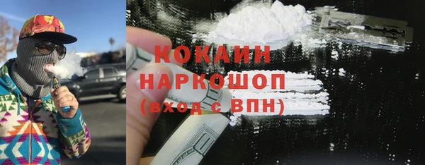 прущие грибы Куйбышев