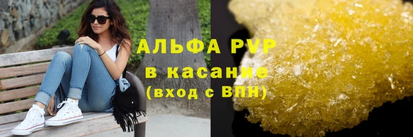 прущие грибы Куйбышев