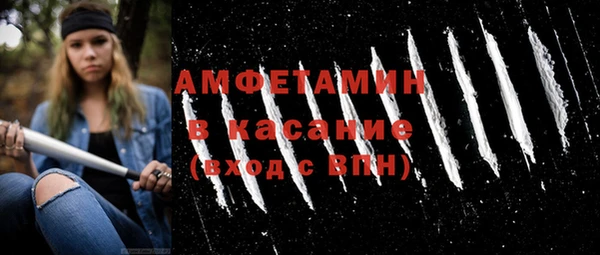 прущие грибы Куйбышев