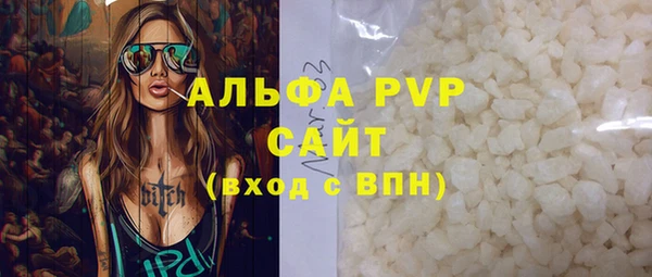 прущие грибы Куйбышев